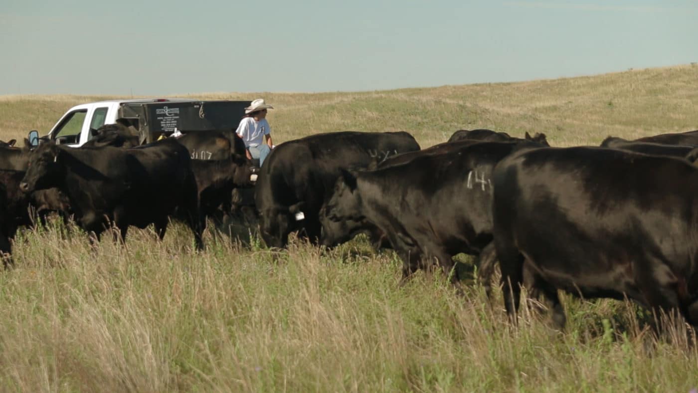 2017 Cattlemen's Ball – Join the 2017 Cattlemen's Ball at the Johnson ...